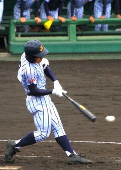 IMG_4900.jpg