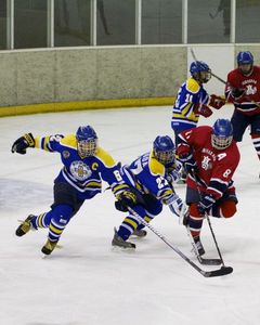 IMG_5097.jpg