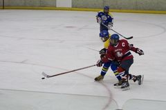 IMG_5101.jpg