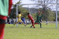 IMG_6811.jpg