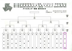 アイスホッケー全道大会.jpg