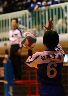 IMG_9775.jpg