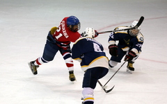 IMG_8627.JPG