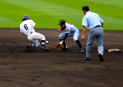 IMG_3279.jpg