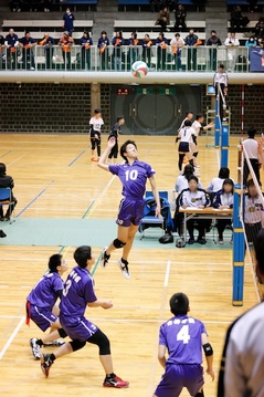 _MG_8710.jpg