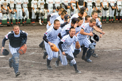 LD7A7601.jpg