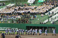 7DM22094.jpg